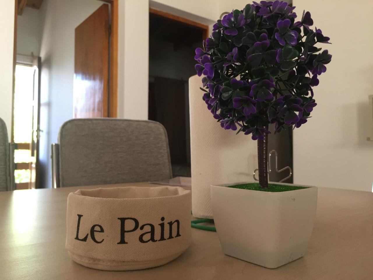 Apartamentos Irigoyen San Rafael  Extérieur photo